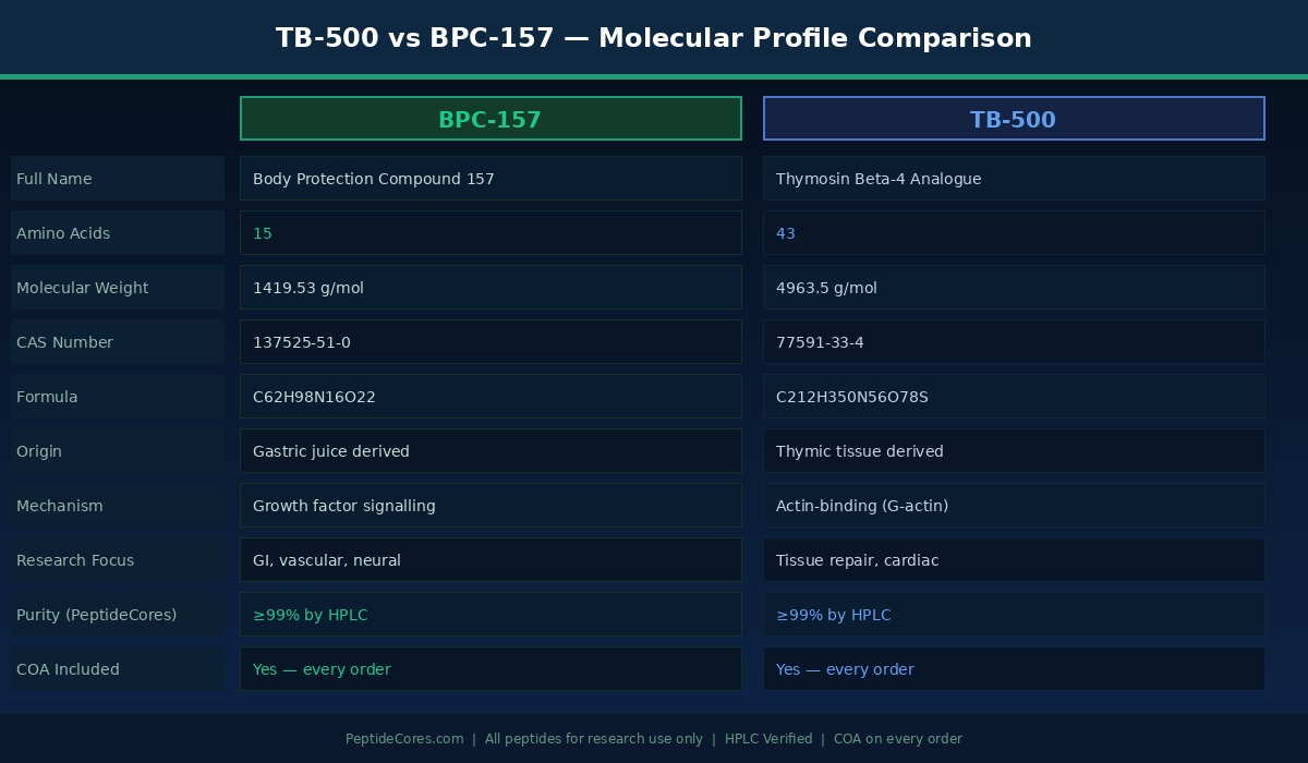 TB-500 vs BPC-157 — What's the Difference? TB-500 vs BPC-157 molecular profile
comparison table PeptideCores