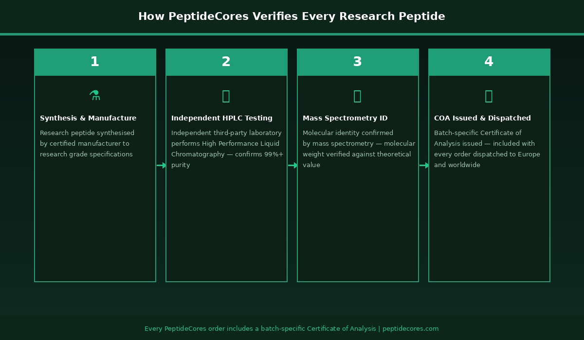 02 verification process