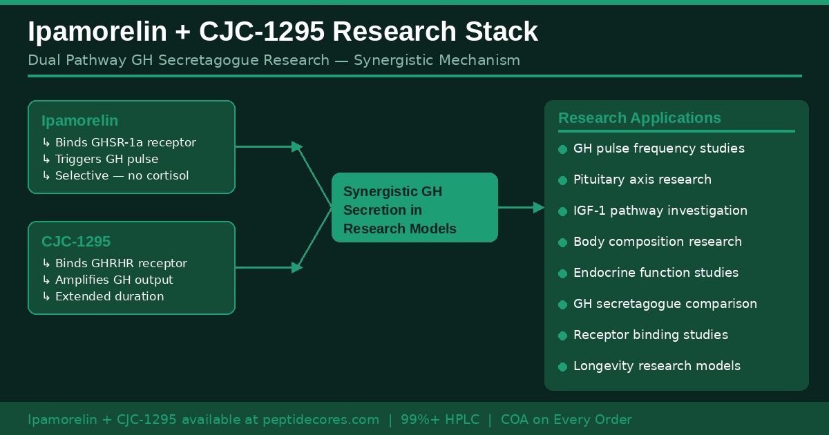 Ipamorelin CJC-1295 research stack synergistic GH secretion diagram